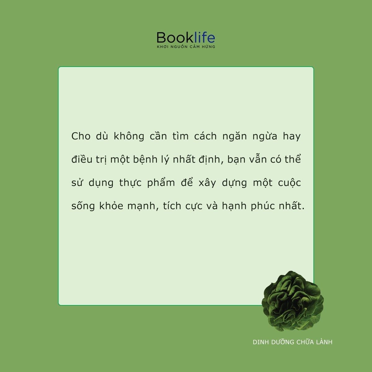  Dinh Dưỡng Chữa Lành 