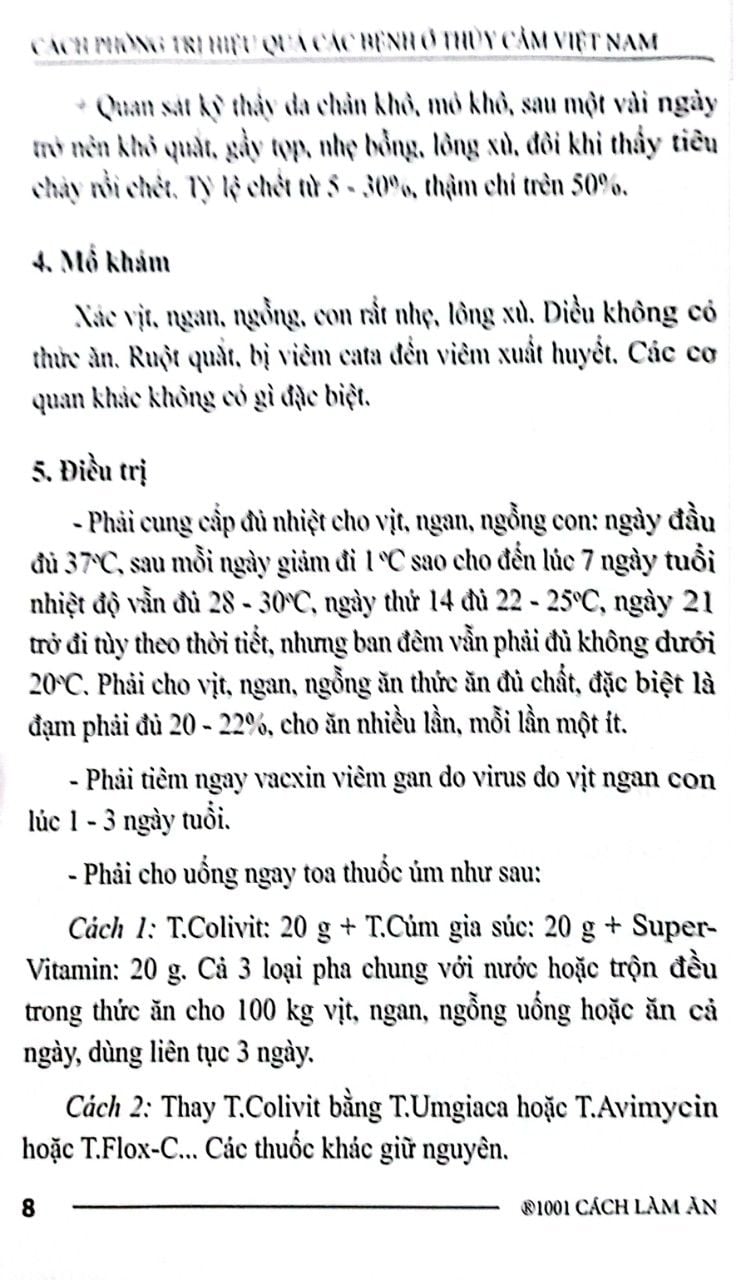  Cách Phòng Trị Hiệu Quả Các Bệnh Ở Thủy Cầm Việt Nam 