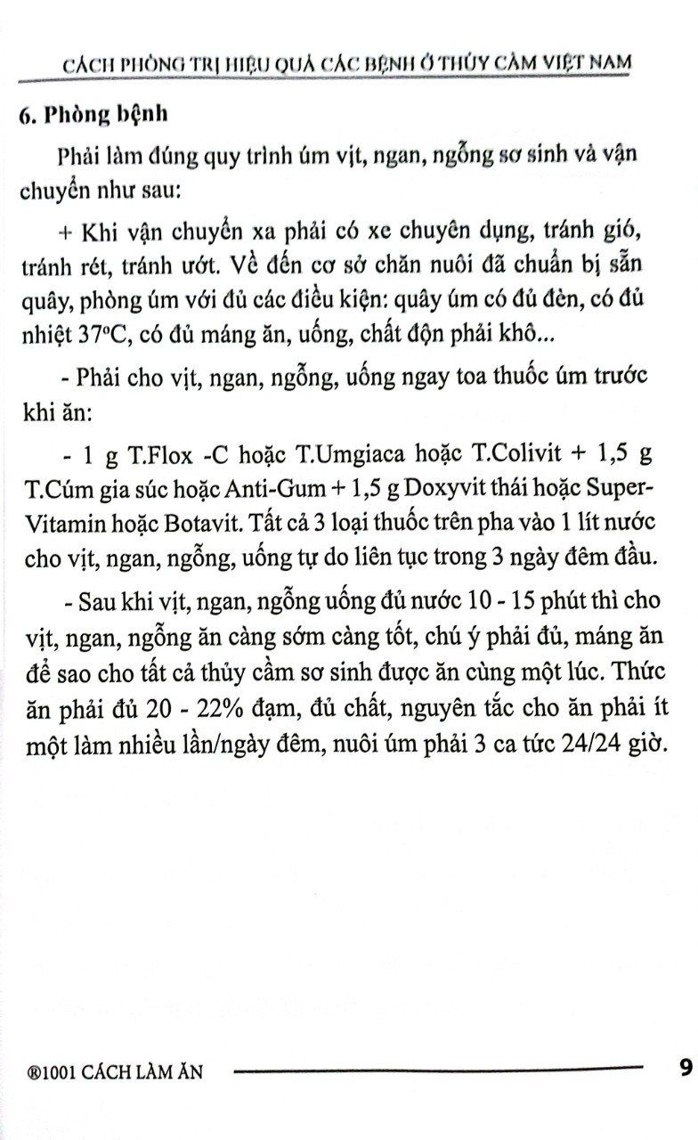  Cách Phòng Trị Hiệu Quả Các Bệnh Ở Thủy Cầm Việt Nam 