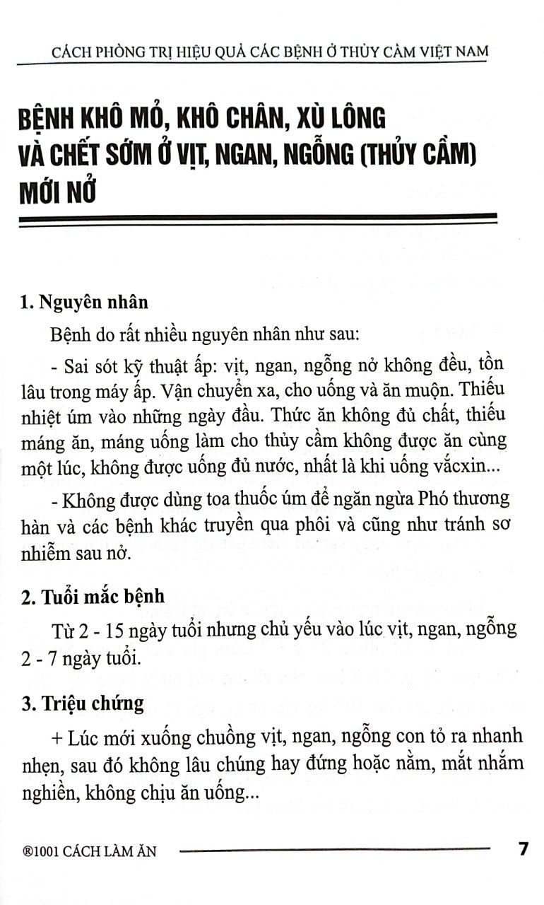  Cách Phòng Trị Hiệu Quả Các Bệnh Ở Thủy Cầm Việt Nam 