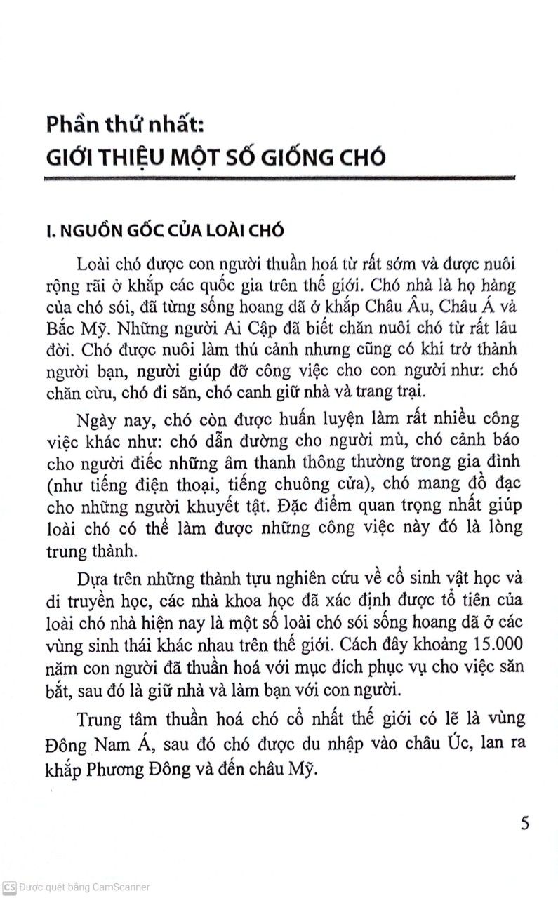  Nuôi Chó Trong Gia Đình 