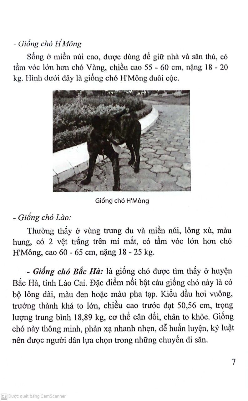  Nuôi Chó Trong Gia Đình 