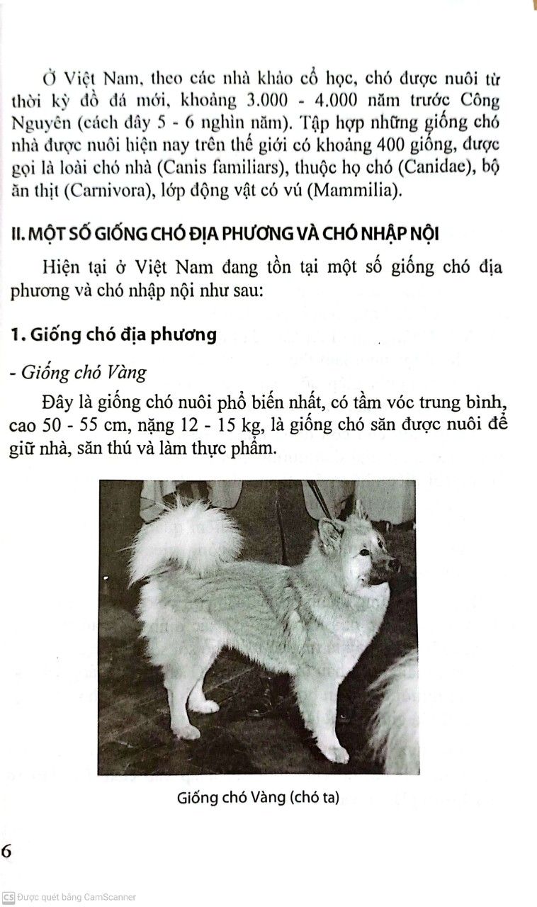  Nuôi Chó Trong Gia Đình 