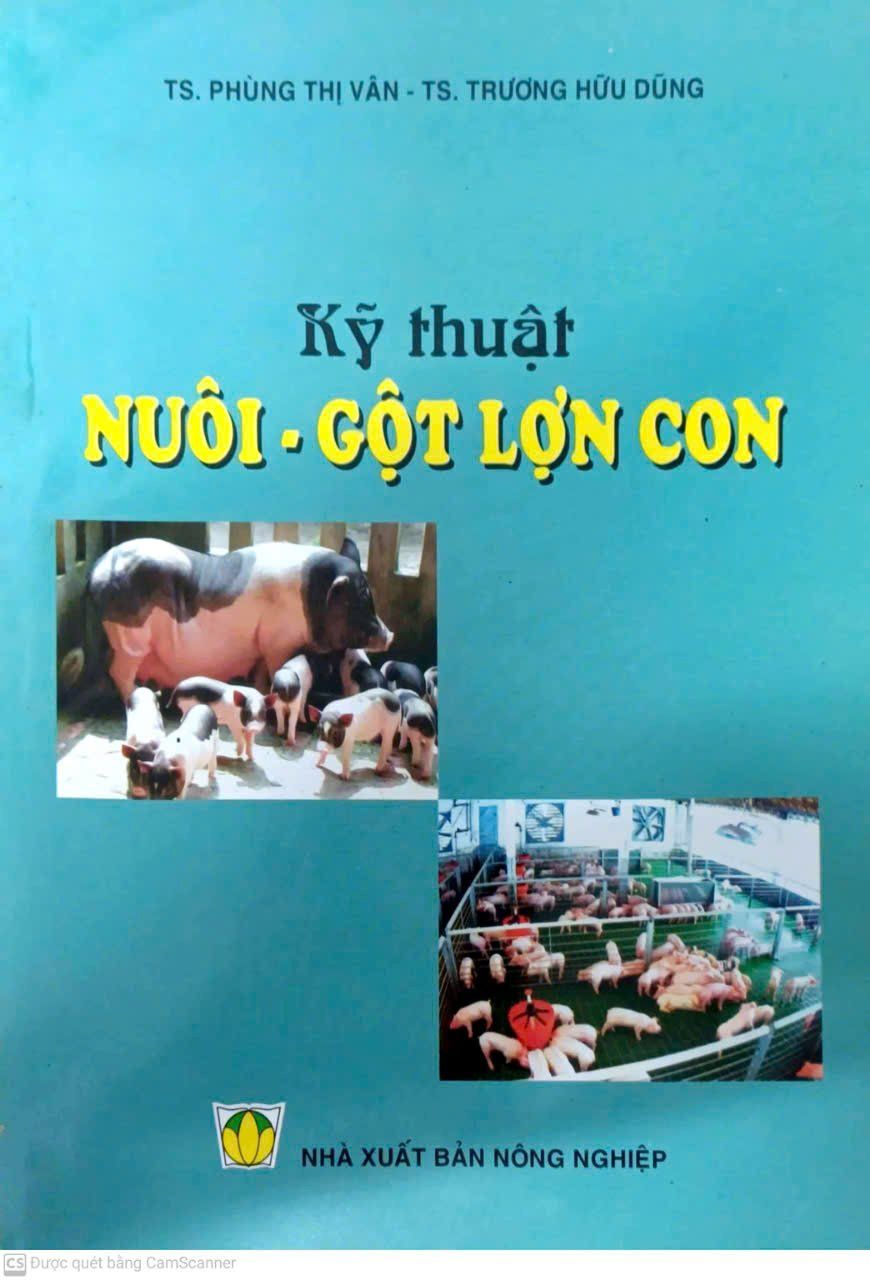  Kỹ Thuật Nuôi - Gột Lợn Con 