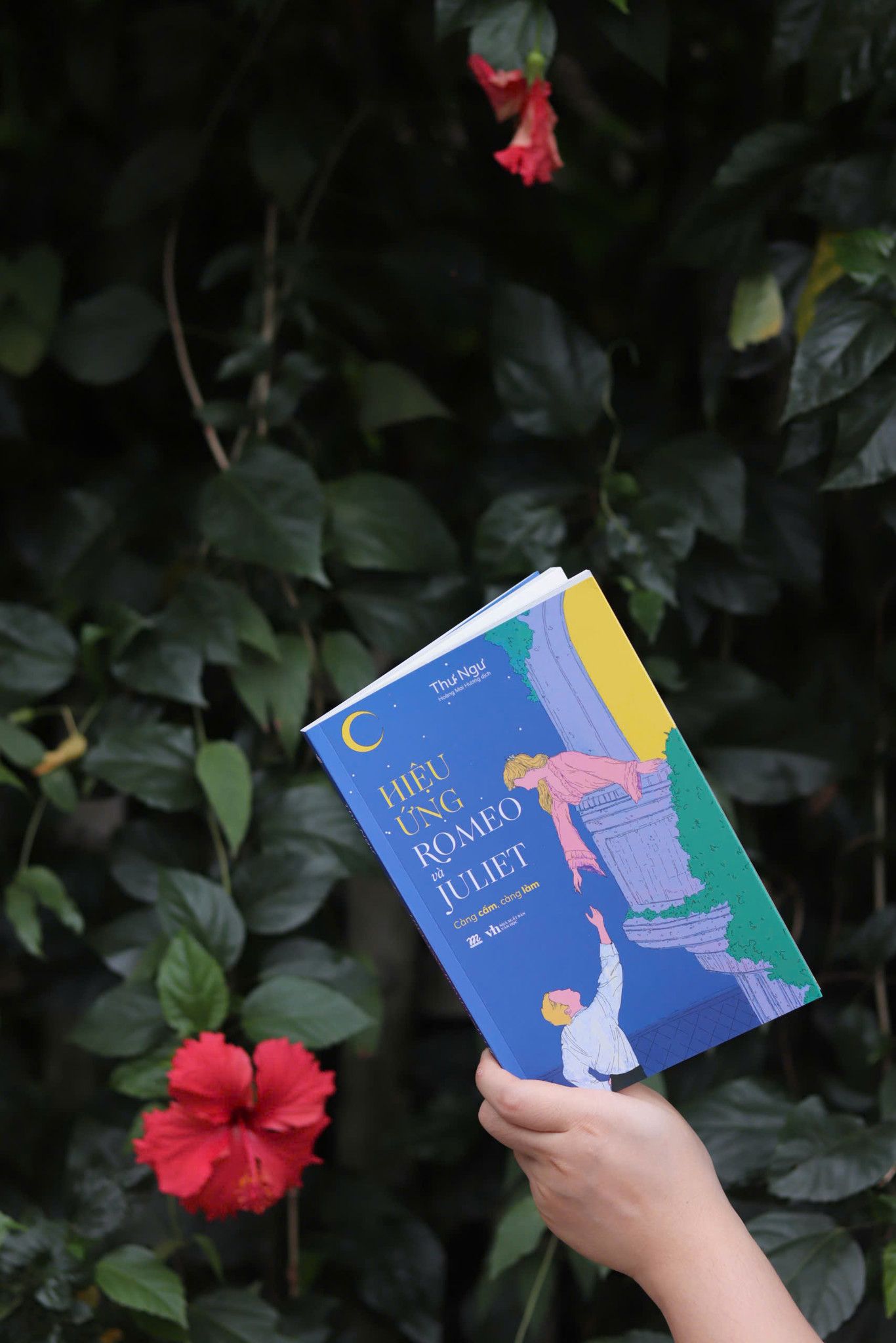  Hiệu Ứng Romeo Và Juliet 