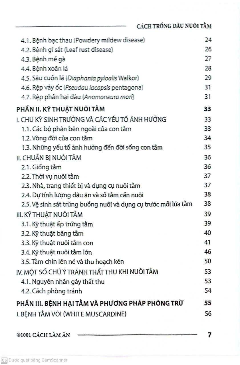  Cách Trồng Dâu Nuôi Tằm 