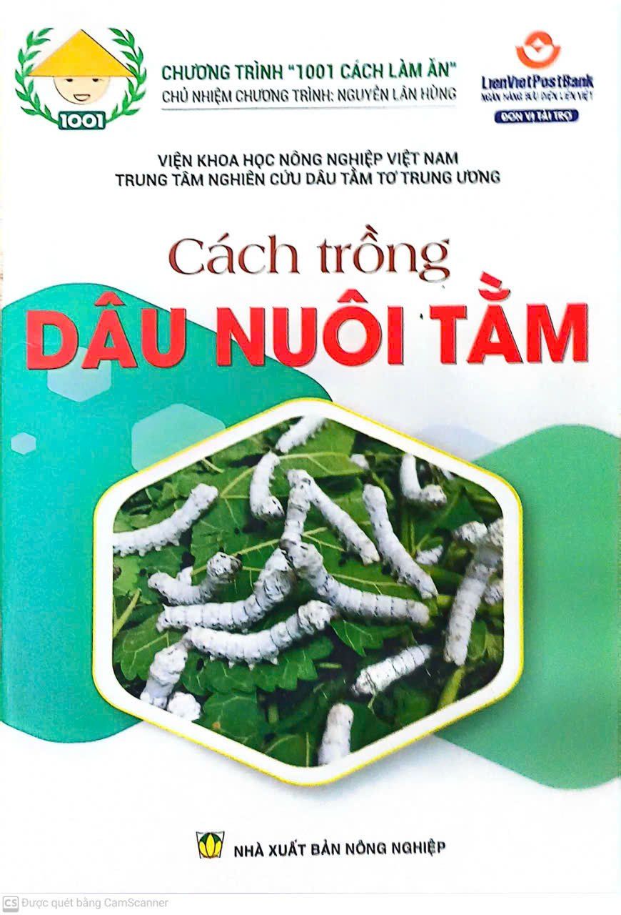  Cách Trồng Dâu Nuôi Tằm 