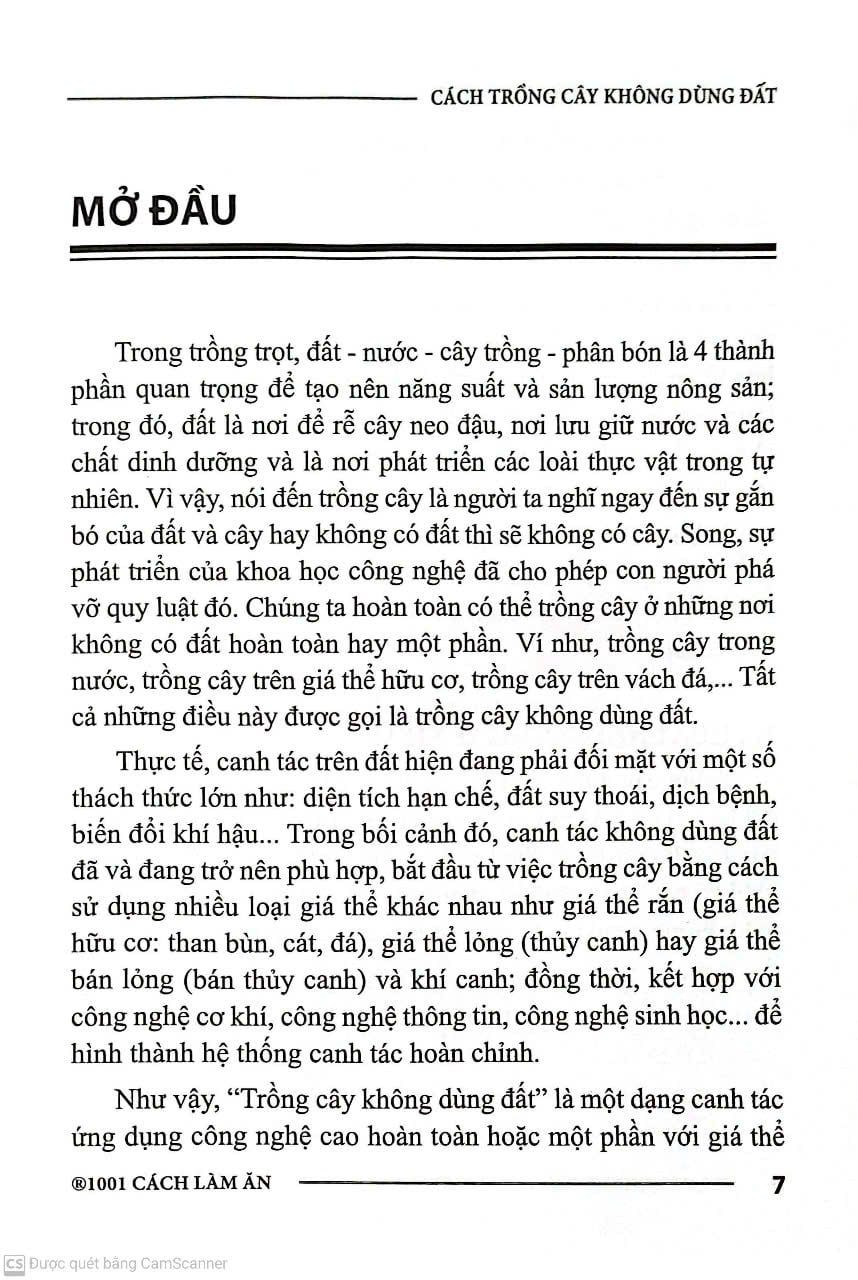  Cách Trồng Cây Không Dùng Đất 