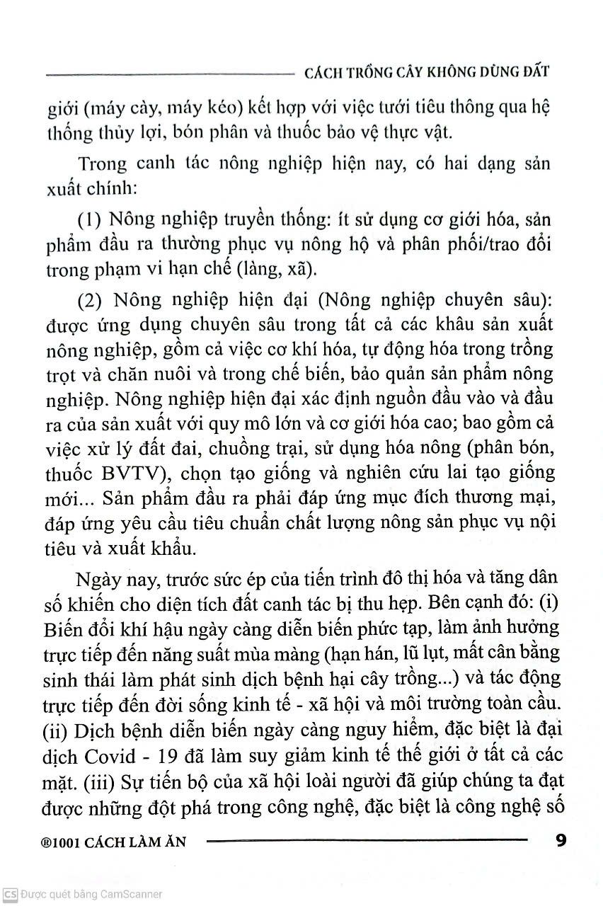  Cách Trồng Cây Không Dùng Đất 