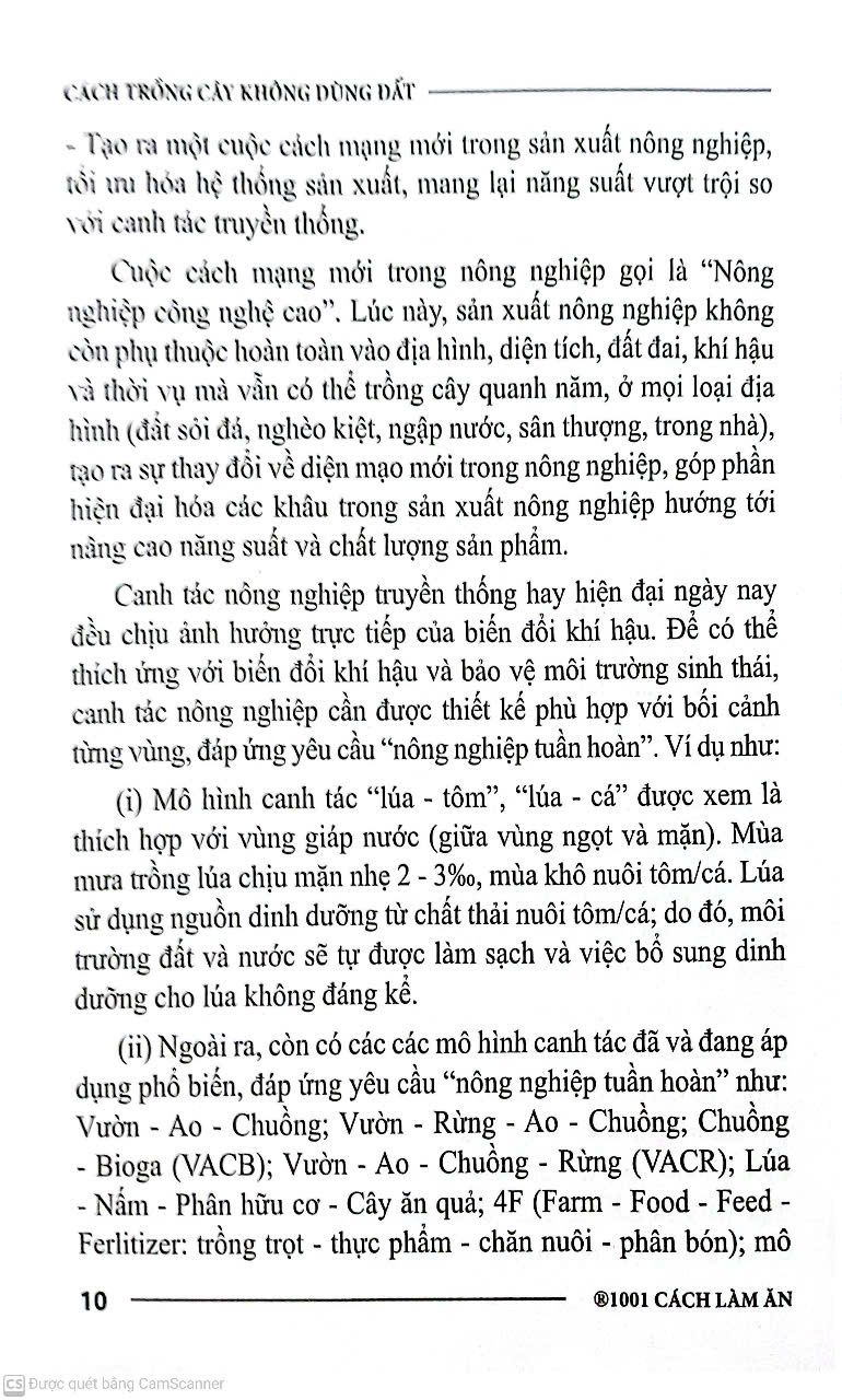  Cách Trồng Cây Không Dùng Đất 