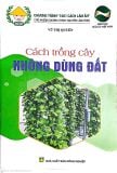  Cách Trồng Cây Không Dùng Đất 