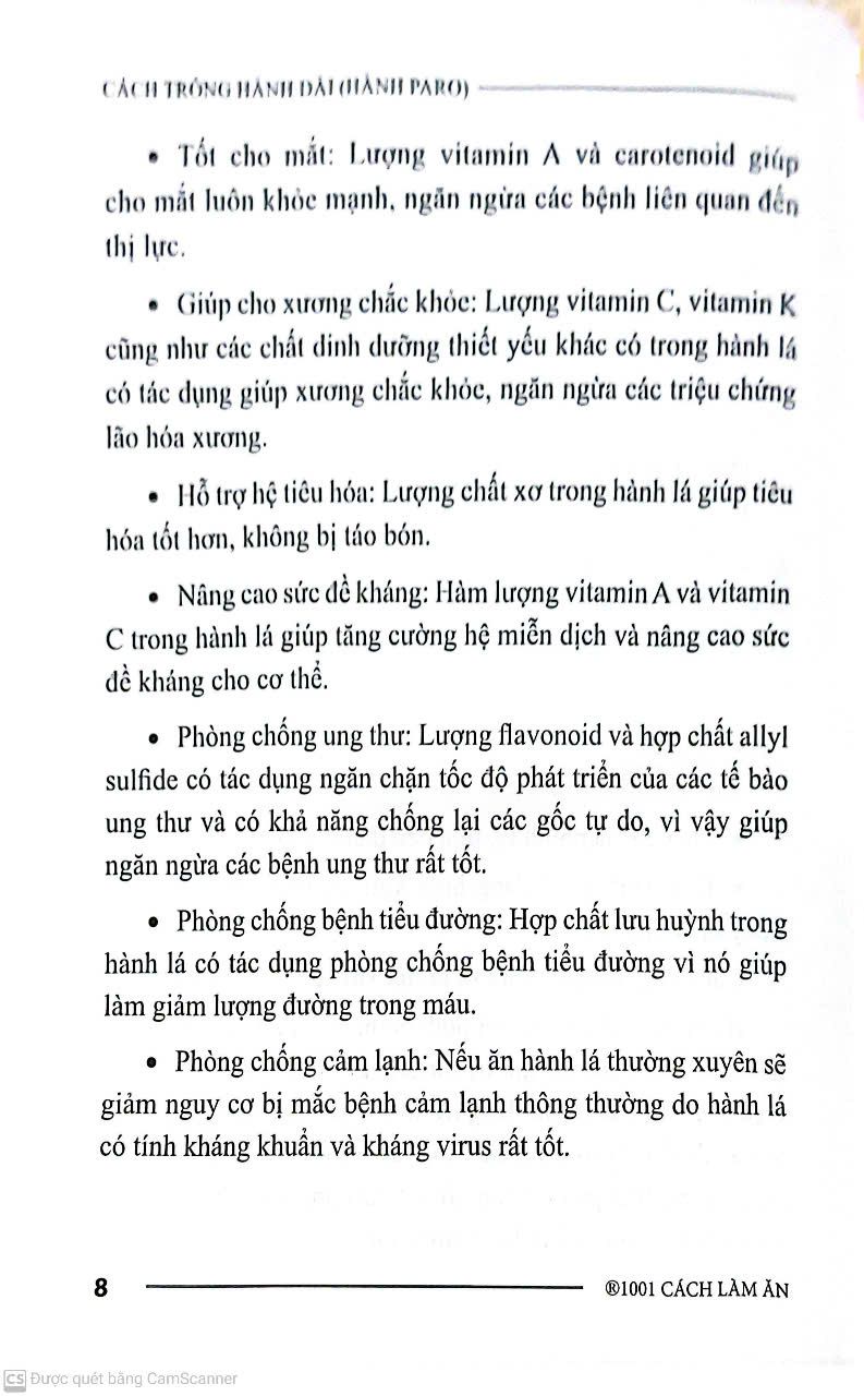  Cách Trồng Hành Dài 