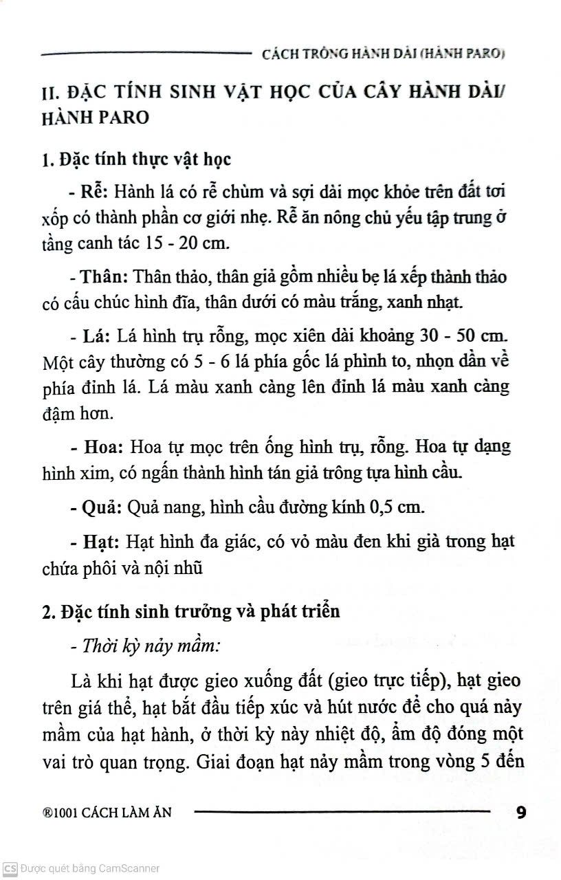 Cách Trồng Hành Dài 