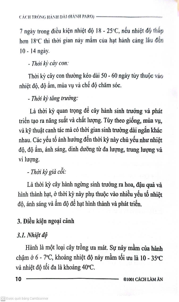  Cách Trồng Hành Dài 