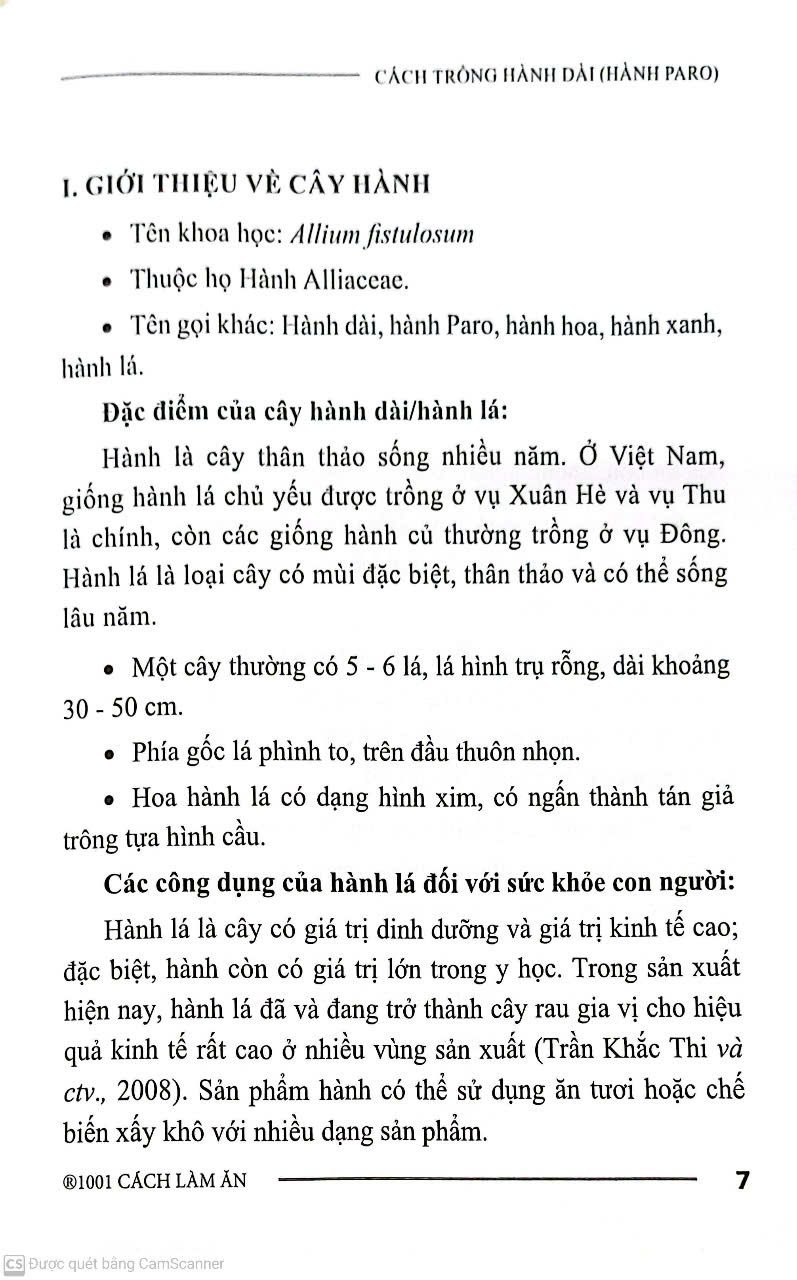  Cách Trồng Hành Dài 
