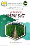  Cách Trồng Hành Dài 