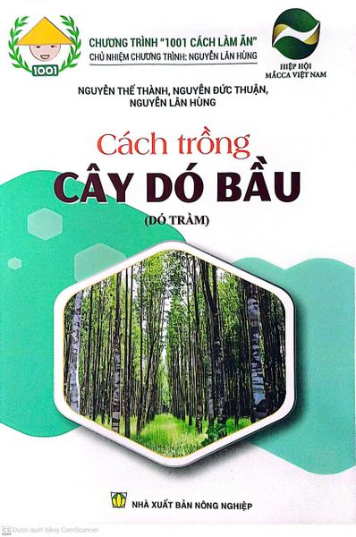 Cách Trồng Cây Dó Bầu (Dó Trầm) - Do