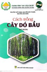 Cách Trồng Cây Dó Bầu (Dó Trầm) 