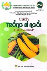  Cách Trồng Bí Ngồi Theo VietGAP 