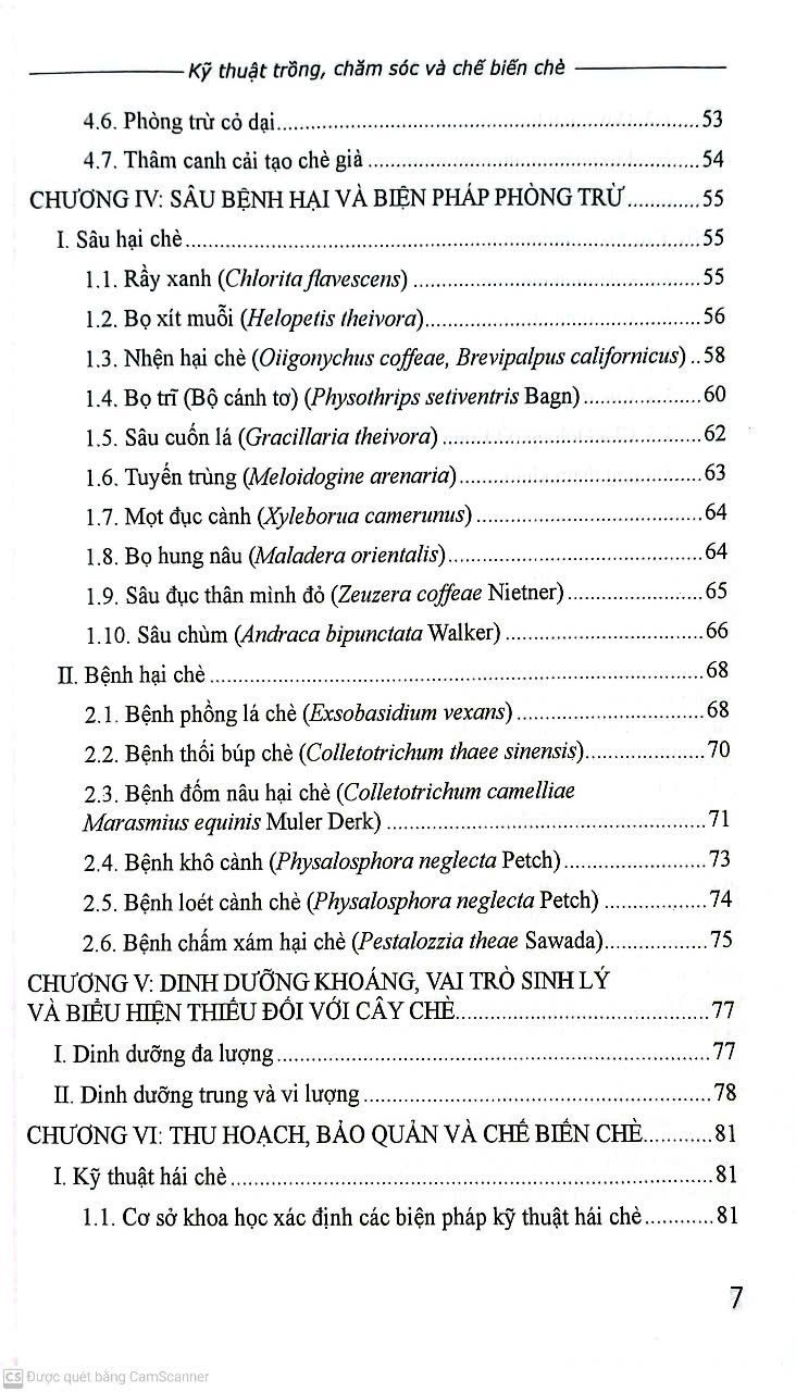  Kỹ Thuật Trồng, Chăm Sóc Và Chế Biến Chè 