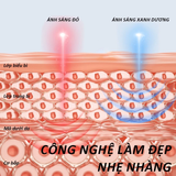  Trị liệu mặt nạ LED NIPLIFE-EM01 Hỗ trợ giảm mụn, nếp nhăn. 