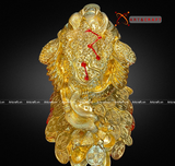  Quà Tặng Phong Thủy Tượng Thiềm Thừ đồng vàng dát vàng kích thước 22 x 30 x 20 cm 