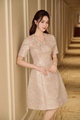 Hoully Dress