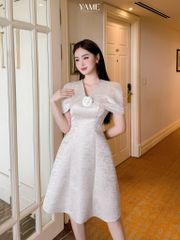 Váy nữ dáng A tay ngắn chùm vai đính hoa cài vải tafta vân gỗ be ánh xanh YAME YV292