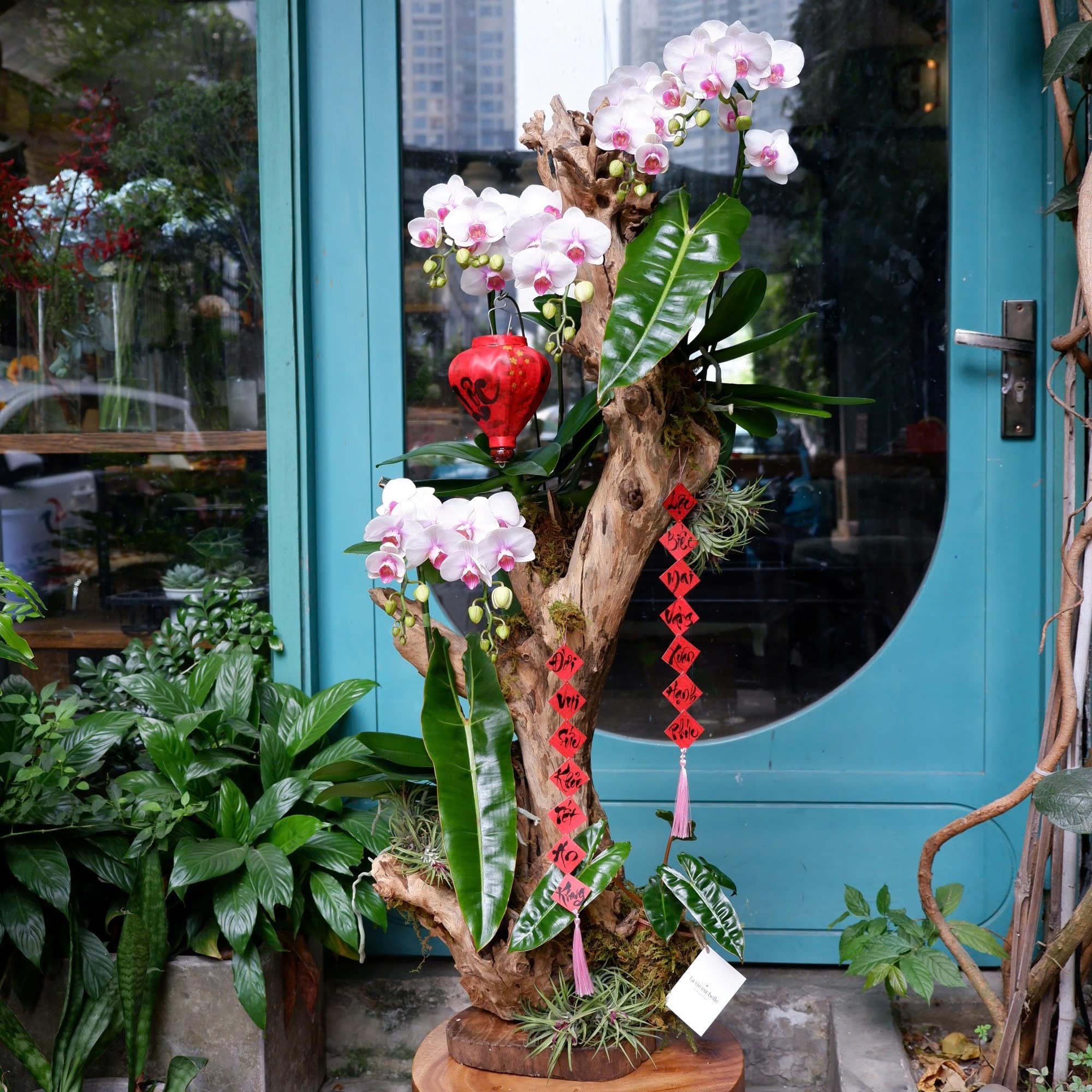 Ngọc Lan Phú Quý