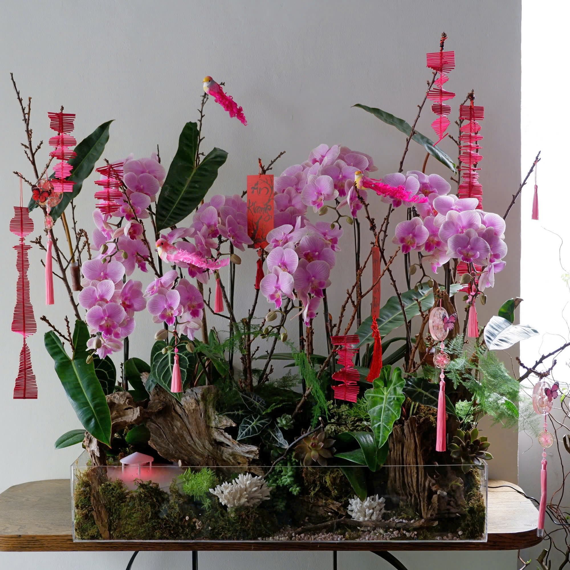 Sắc Hoa An Khang