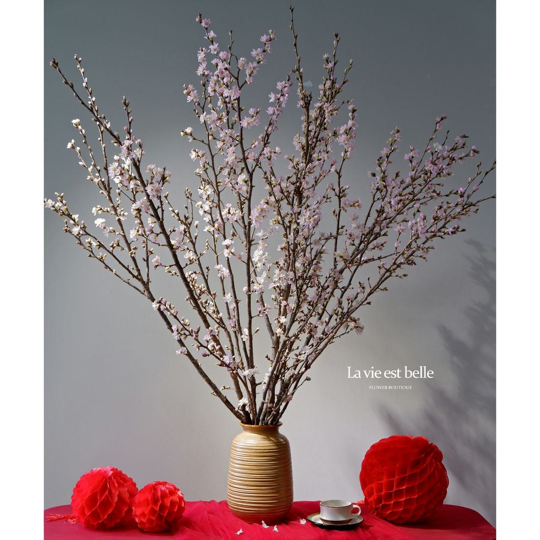 Anh Đào Sakura