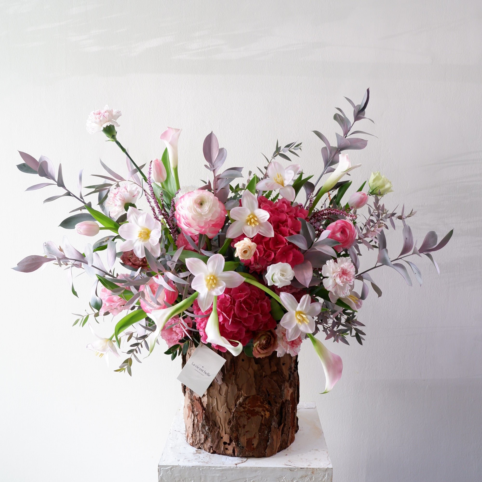 Bloom Brilliance