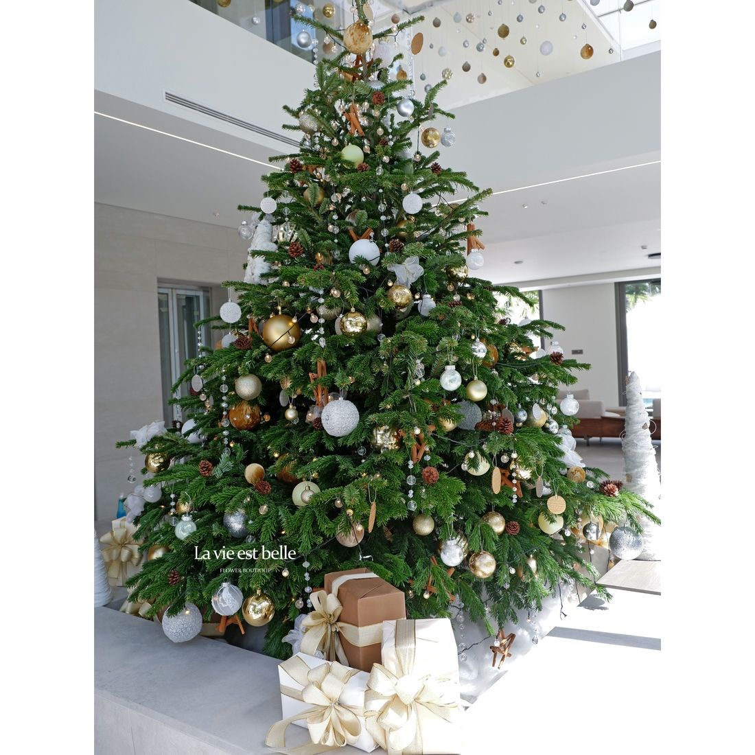 Magical Christmas