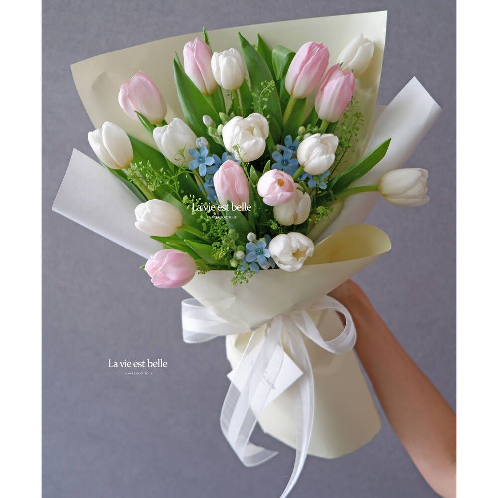 Light Pink & White
