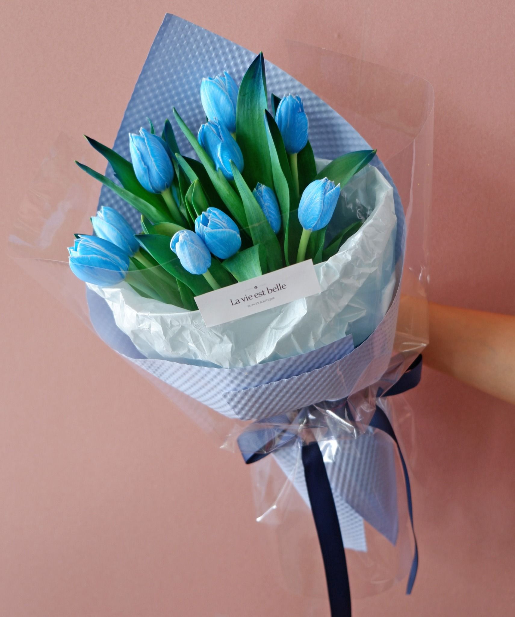 Blue Ocean Tulip