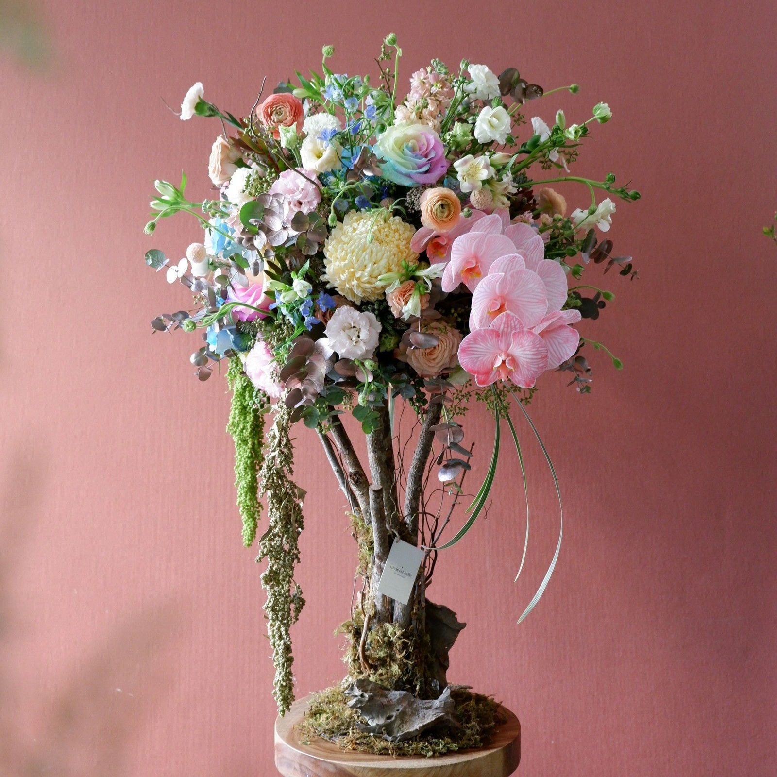 Meadow Muse