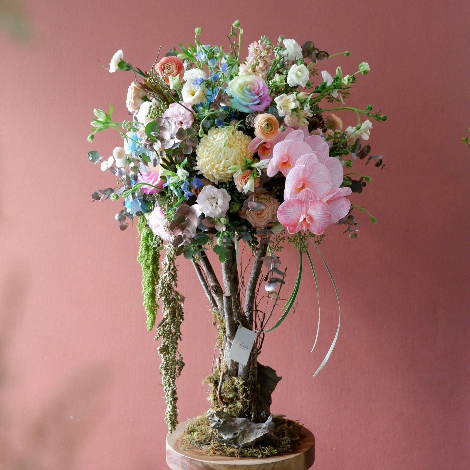 Meadow Muse