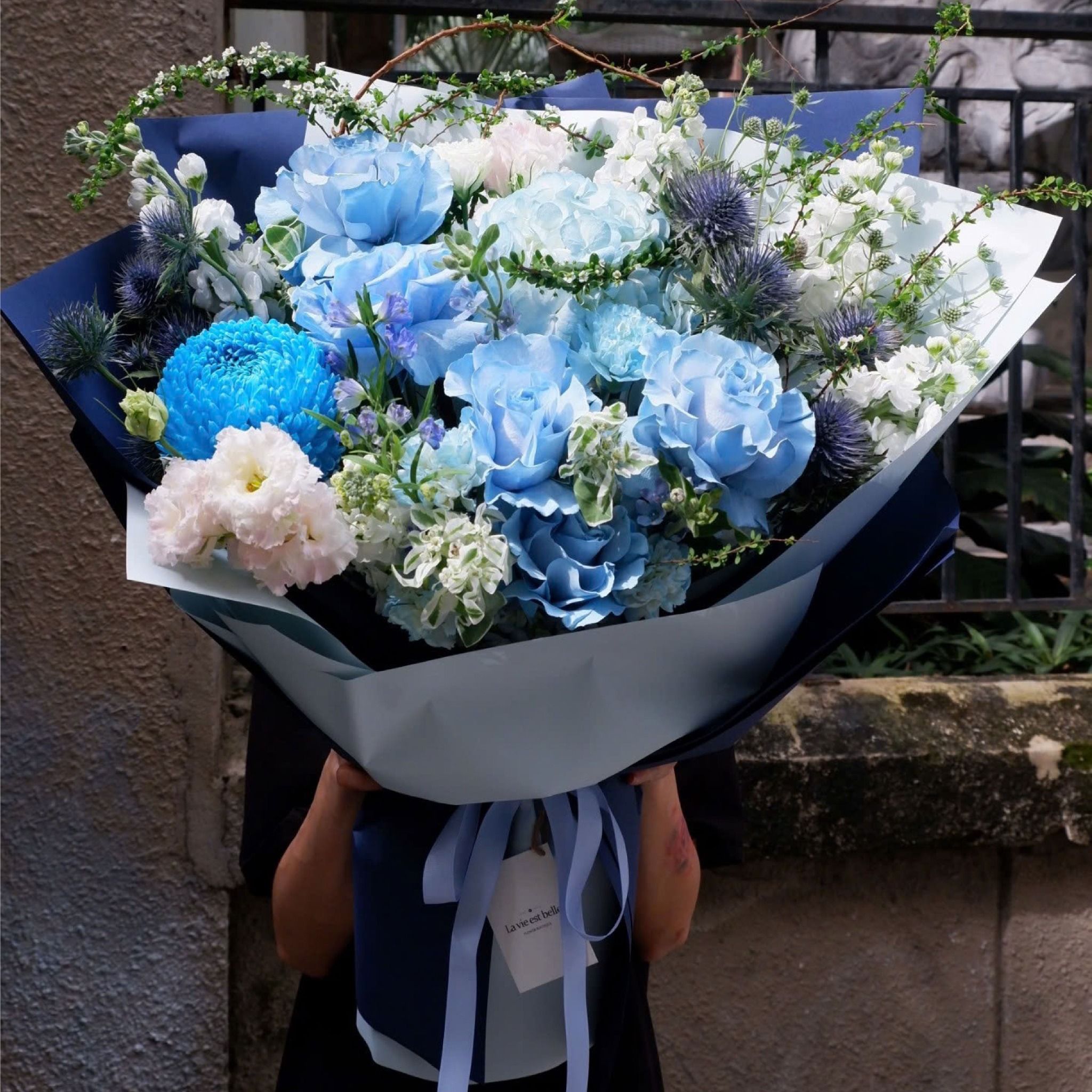 Petal Reverie