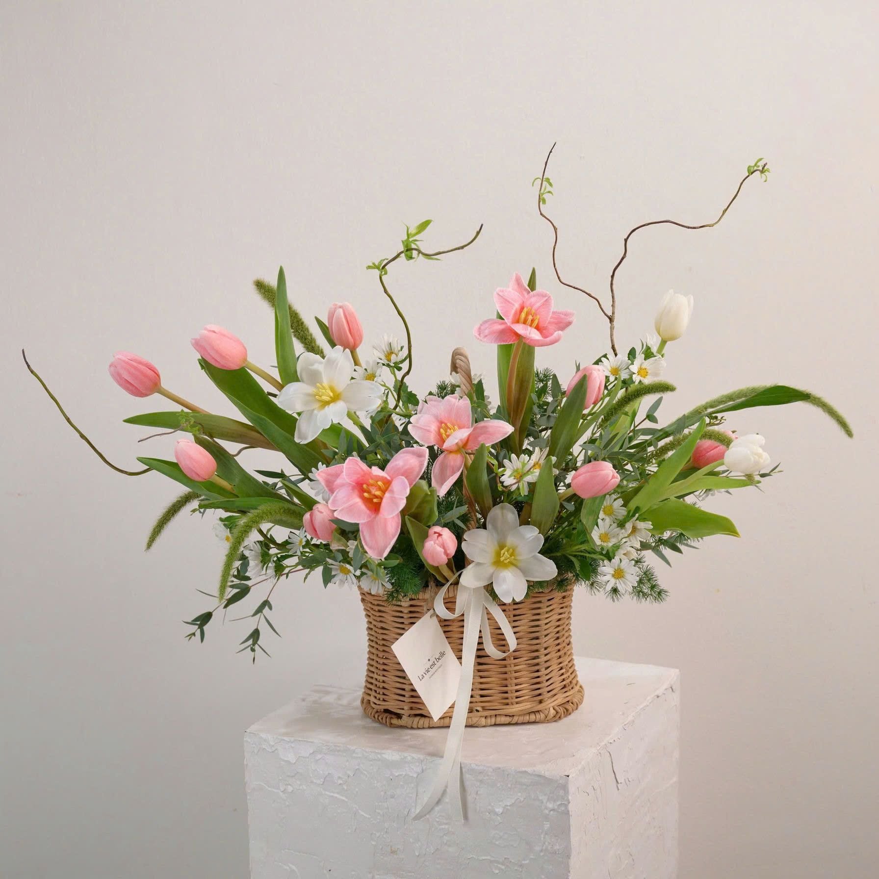 Blushing Tulip Petals