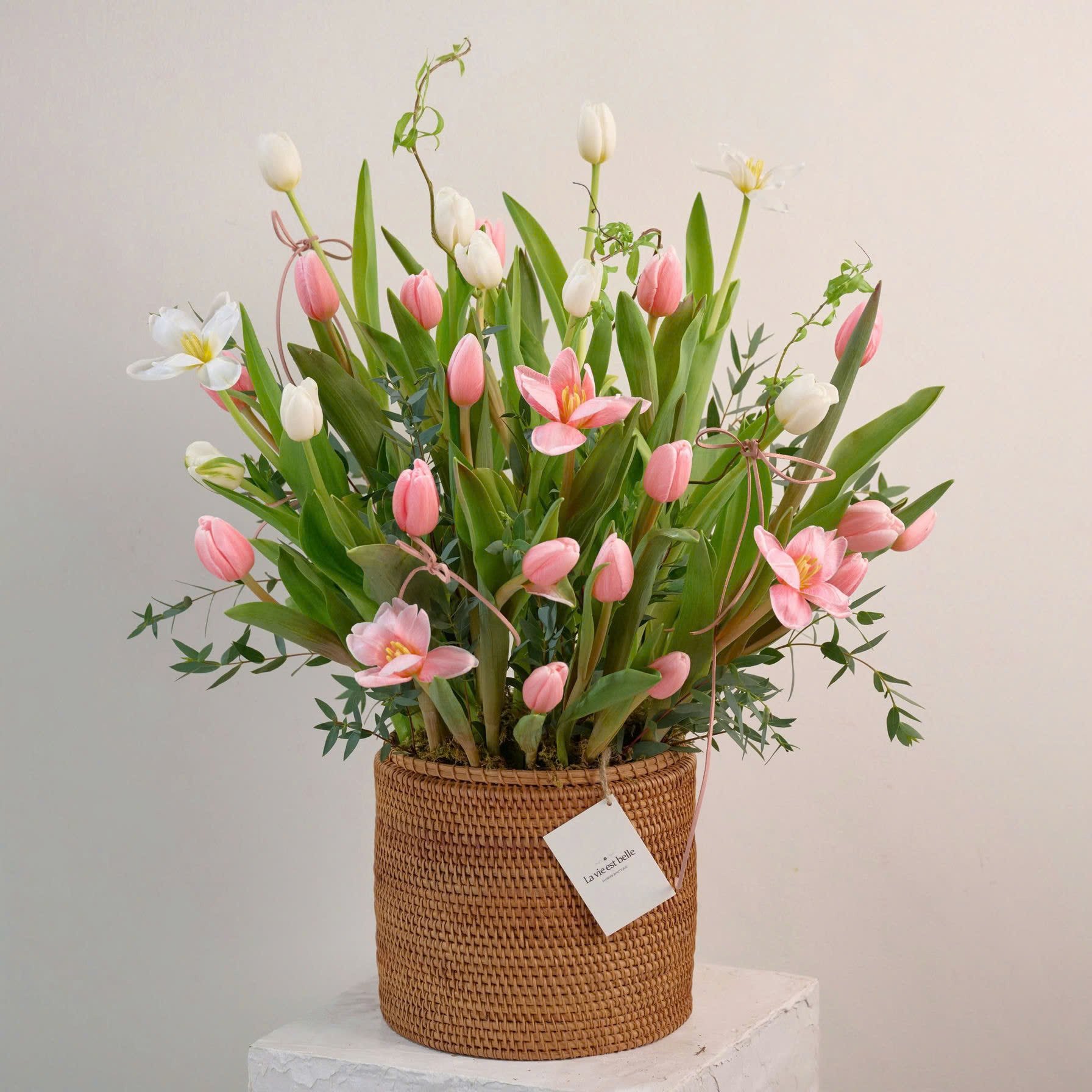 Whispers of Spring