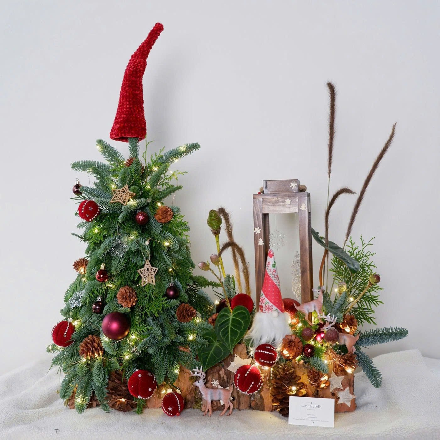 Winter Wonderland Fir
