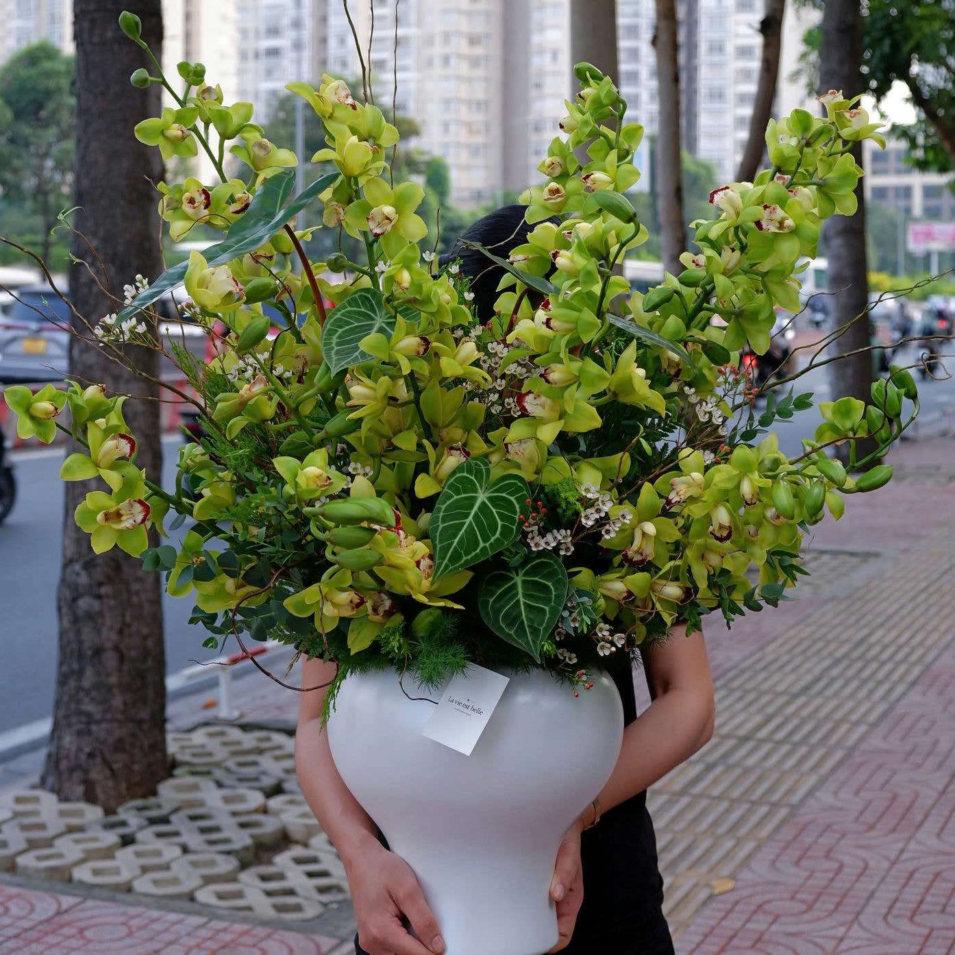 Verdure Elegance