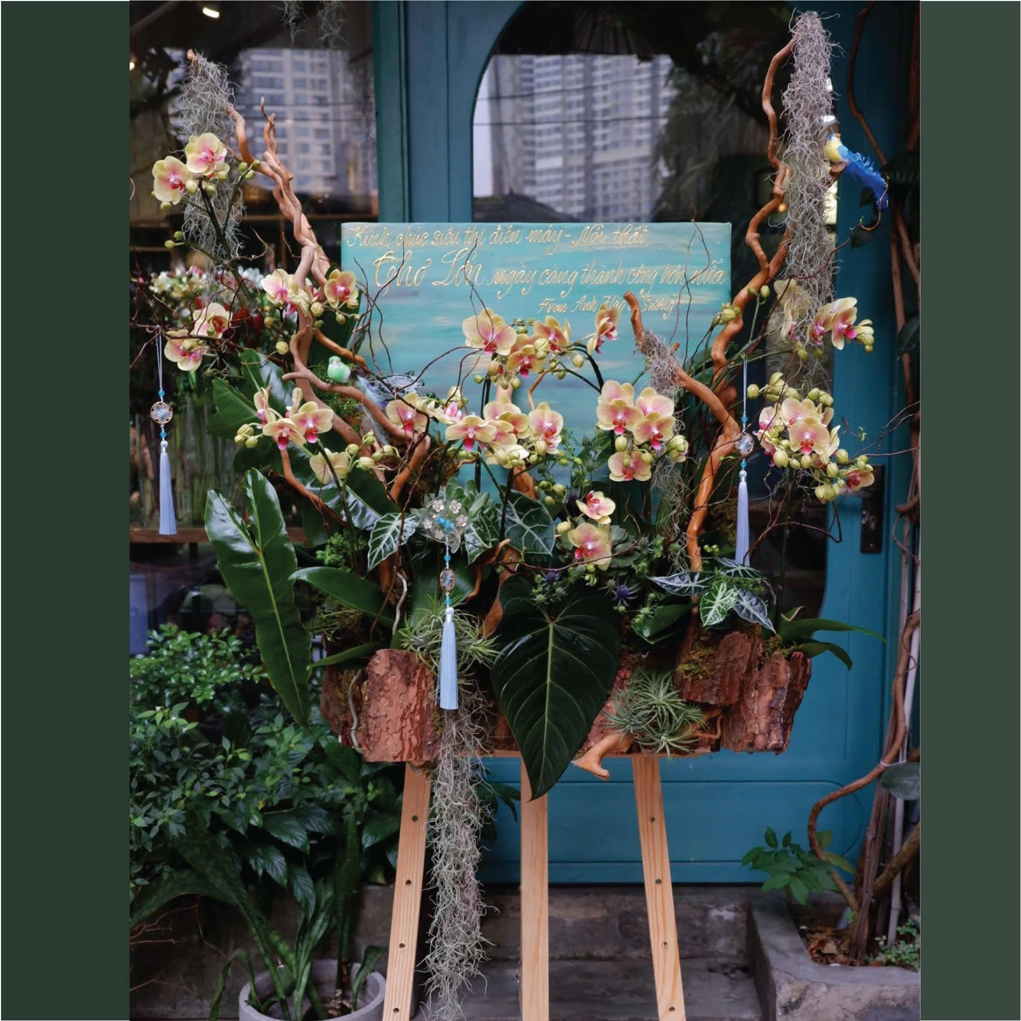 Hồ Điệp Phú Quý