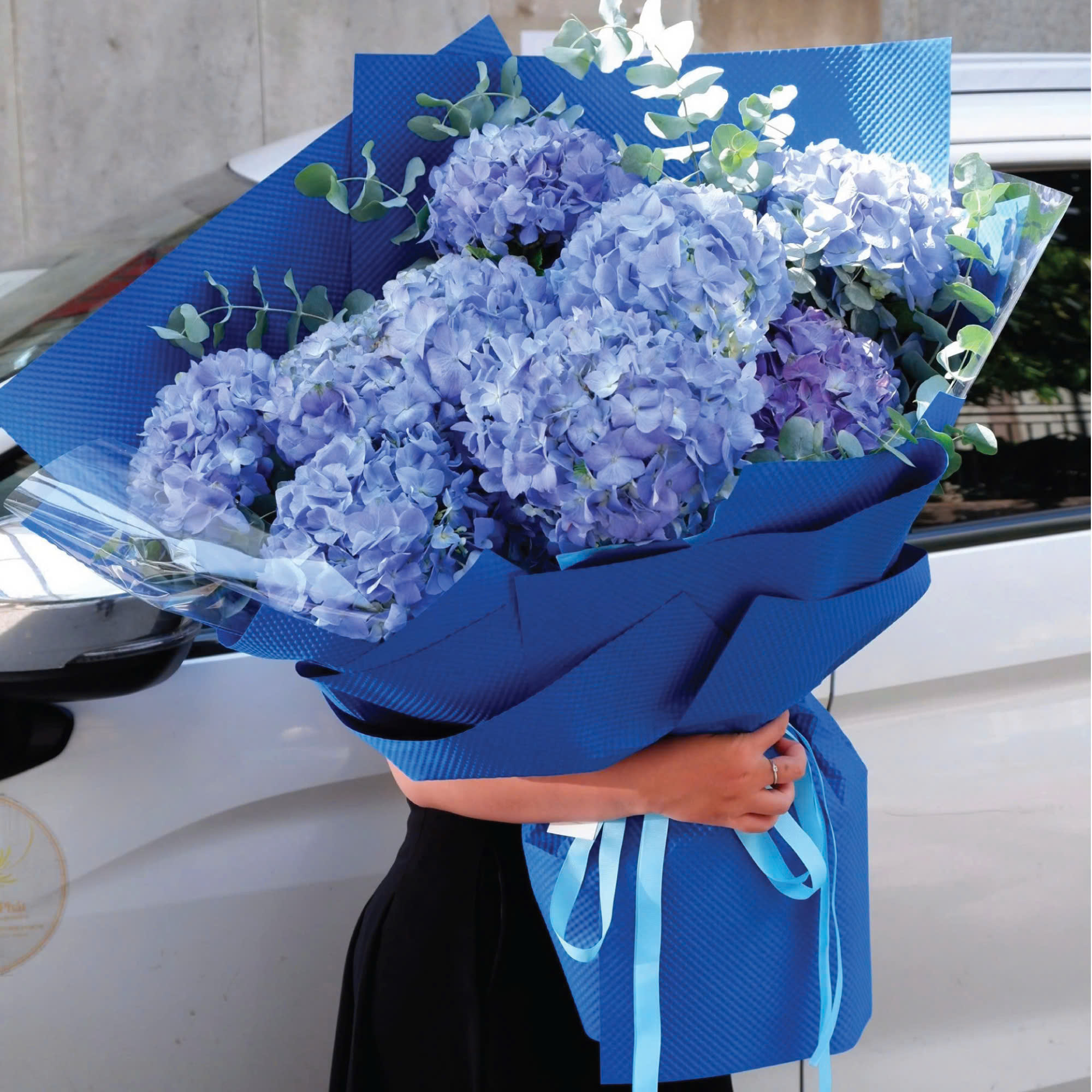 Azure Bloom
