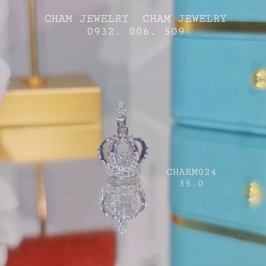 Charm CH24 CHAM JEWELRY ( Barcode TCH870-TMON133)