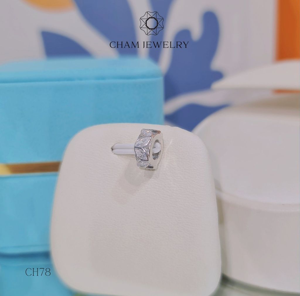 Charm CH78 CHAM JEWELRY (TCH171)