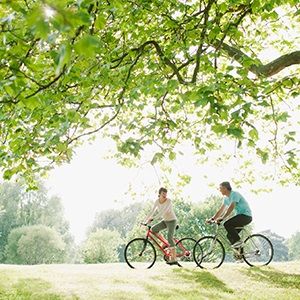 Cenovis Once Daily 50+ Multi Vitamin & Khoáng chất 100 Viên nang