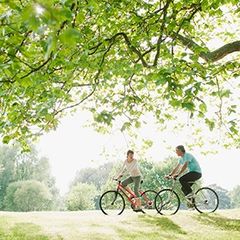 Cenovis Once Daily 50+ Multi Vitamin & Khoáng chất 100 Viên nang