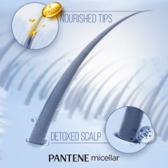 Dầu xả Pantene Pro V Blends Micellar Aloe 530ml