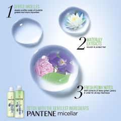 Dầu gội Pantene Pro V Blends Micellar Aloe 530ml